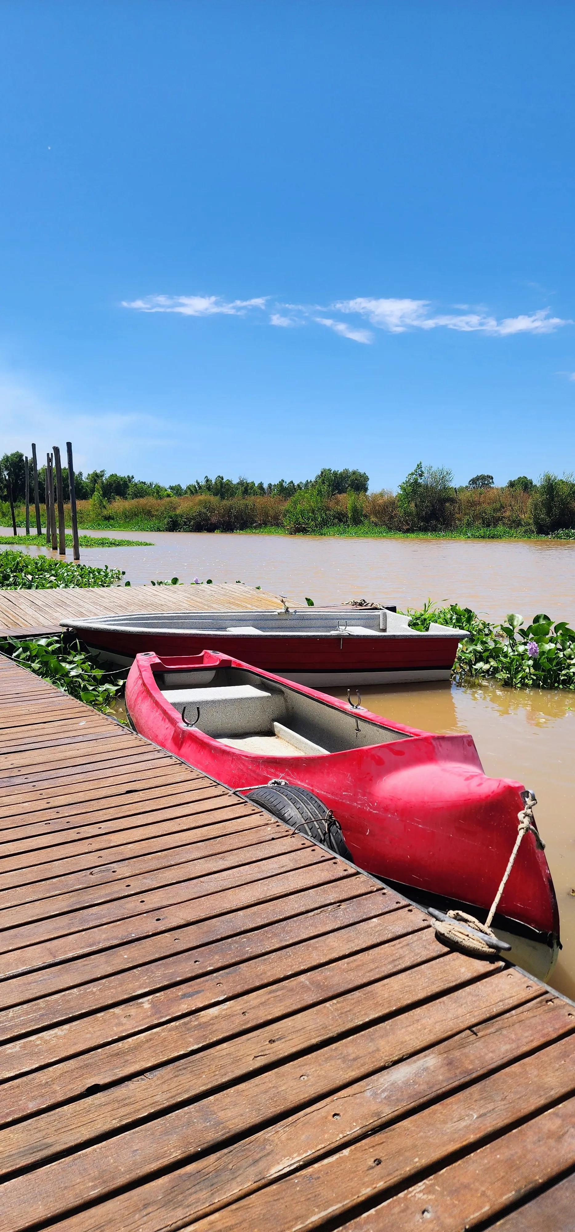 Botes Laguneros