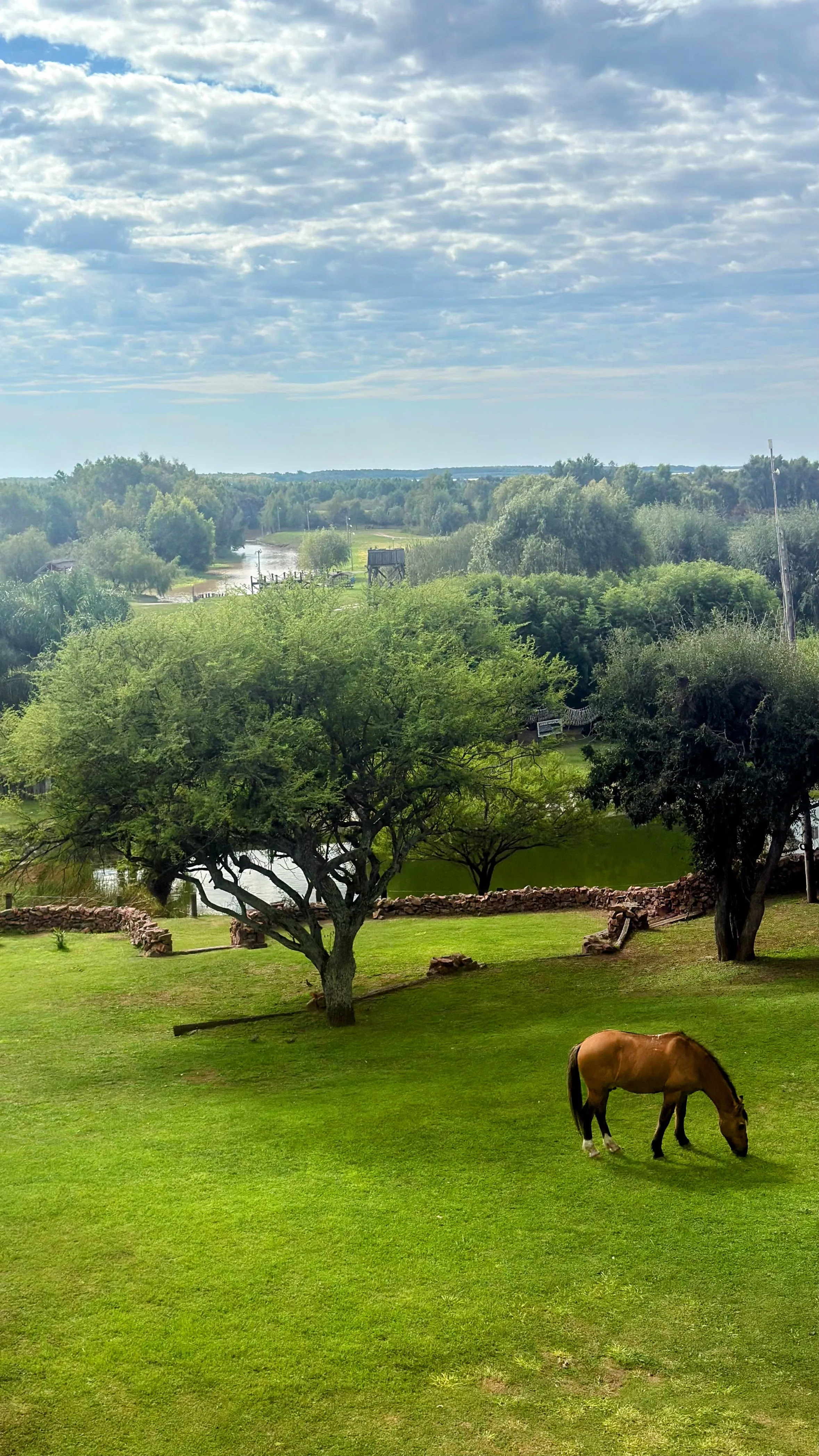 Parque Verde